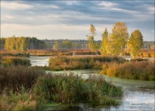 Herbst im Elk Island. / ***