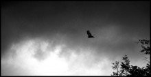 Schlechtes Wetter / ***