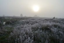 Breath of Winter / ***