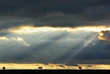 Abend / ***