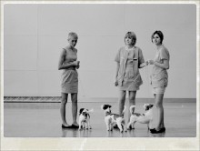 Damen mit Hunden / ***