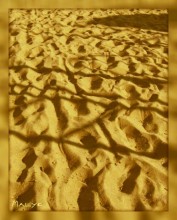Sand / ***