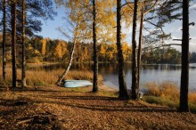 Autumn Classics / ***