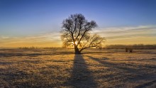 In der Morgendämmerung, am Morgen / ***