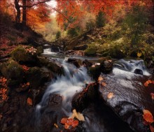 / Herbst Akzente / / ***