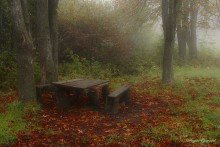 Herbst / ***