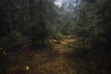 Geheimnis ... Wo immer spukt ... / ...