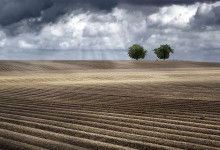 Spring / Plowed spring fields north of Troyes (Burgundy / France)