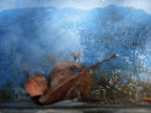 VIOLIN SKY / ***