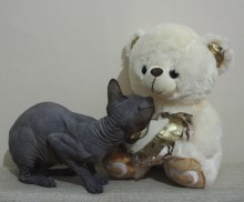 Wer sind Sie? / ***