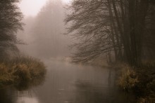 Misty Sula / ***