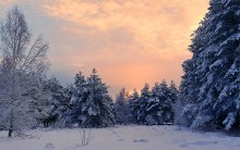 Morgendämmerung / ***