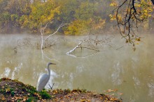 Herbstmorgen / ***