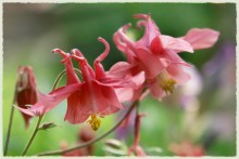 Lieblingsfarbe / ***