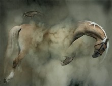 Umfassen Sie den Nebel ... / ...