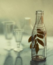 * * * / ..................................