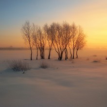 Wintermorgen / .....