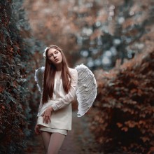 Angel / ***