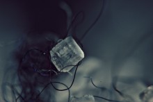 Zucker / ***