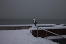 Ruhe in der Landschaft / ***