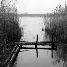 Anzahl der Boote 58 / ***