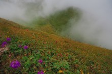 Zeit Farben und Nebel / ...