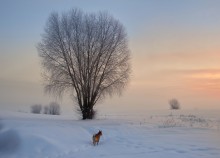 Wintermorgen / .....
