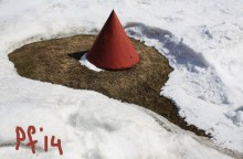 PF 2014 / ***