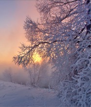 Winter-Spitze / ***