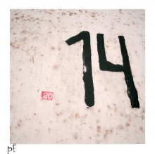 pf*2014 / ***