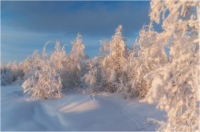 Auf den Spuren von Santa Claus ... / ***