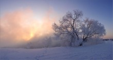 Frost und Sonne / ***