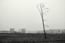 Dezember / ***