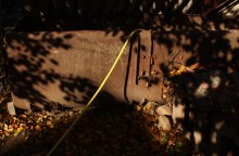 Gelbe Schlauch / ***