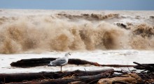 Sturm / ***