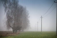Januar Nebel / ***