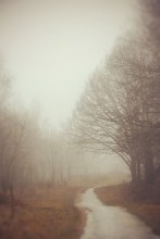 Nebel / ***