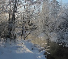 Sonniger Tag im Januar / ***