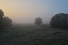 Morgendämmerung / ***
