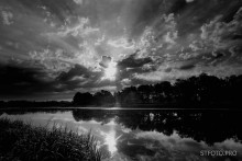 BW Morgen / ***