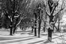 Kontraste Winter / ***