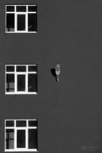 The Wall / .................