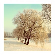 Januar-Morgen / ***