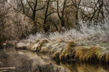 Ein Frost im Dorf. / ***