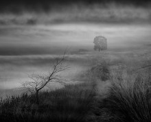 Dunst / Mist