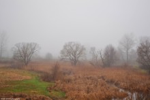 Nebliger Morgen / .....