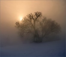 Harte Zeit ... / ***