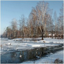 Im Winter Nachmittag / ***