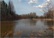 High Water / ***