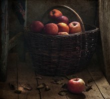 Aus der Serie "Zeit der Reife ..." / ...